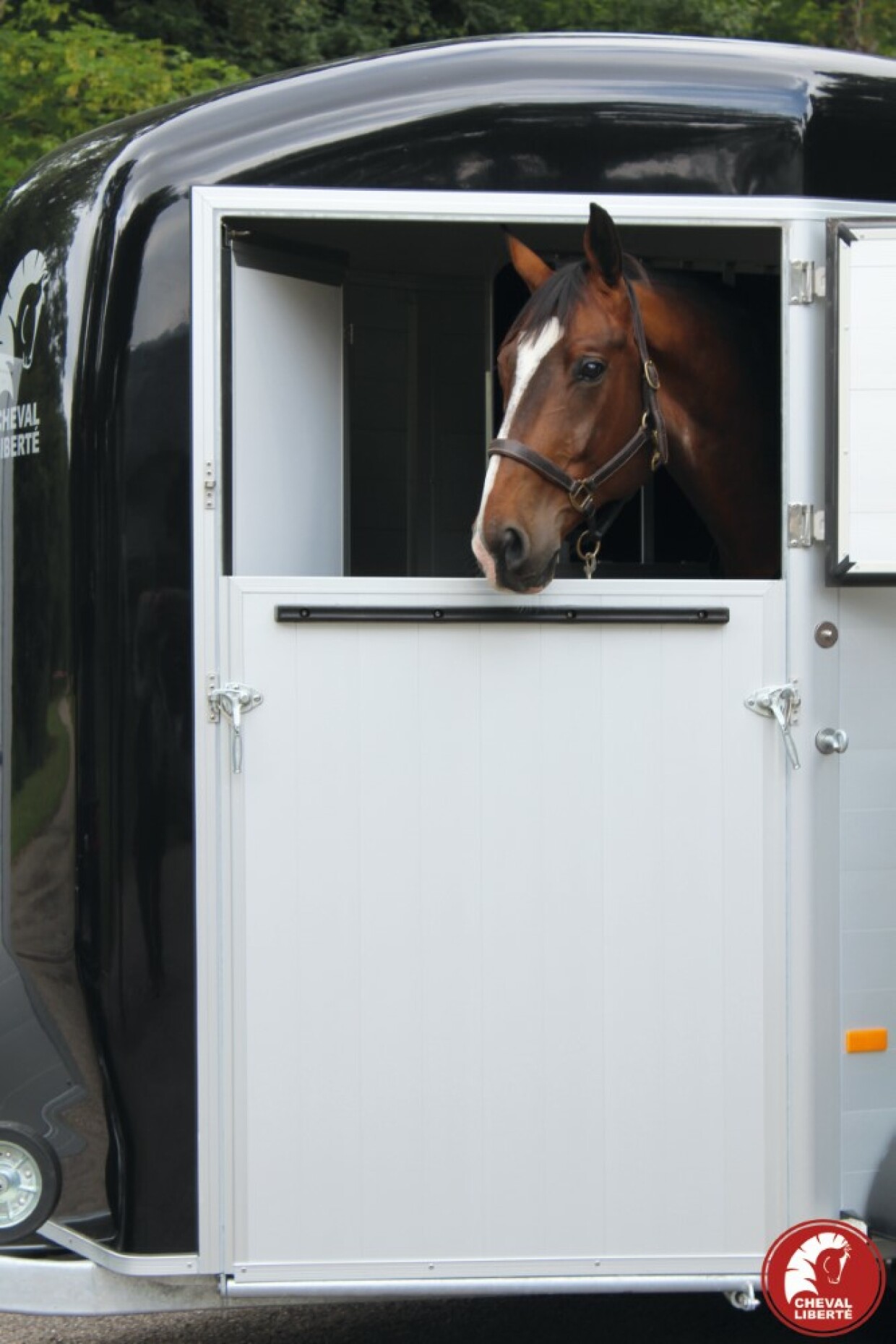 Paardentrailer Cheval Liberté Touring Country